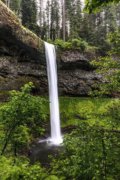 Restuccia, Joe III 아티스트의 USA-Oregon-Silver Falls State Park-South Falls작품입니다.
